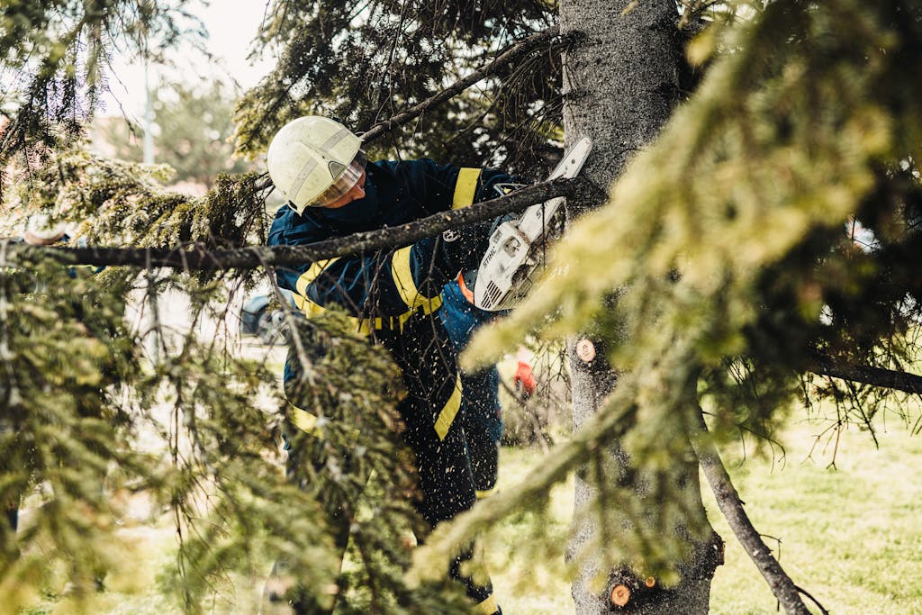 Firefighter in protective gear using chainsaw to cut tree branches outdoors.